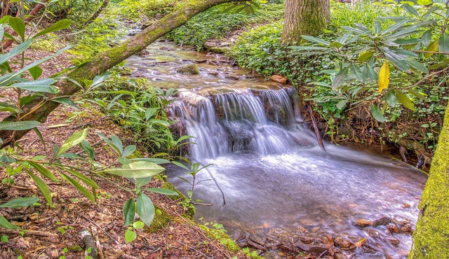 Tranquility Falls Maggie Valley Cabin w/Fire Pit Pool and Hot Tub