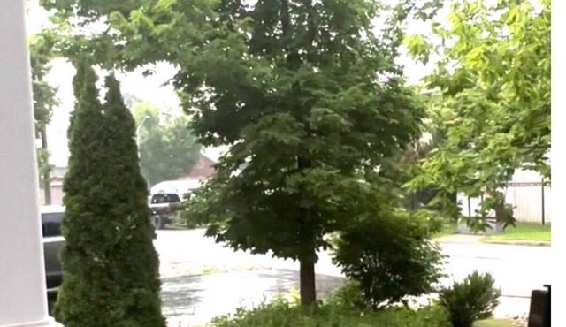 Tranquill stay nYour cozy & calm Stay in Orleans Ottawa ON