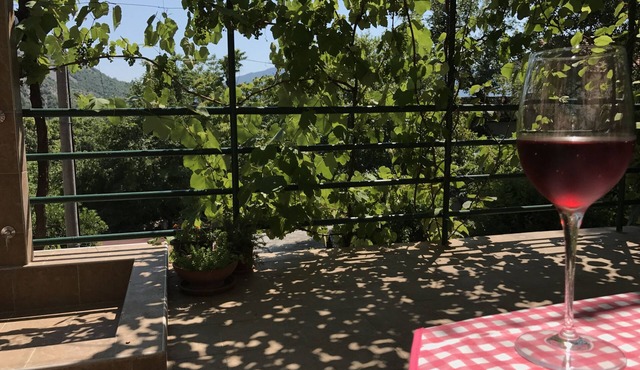 Tranquillity & comfort - spacious studio & terrace, relax under the vine canopy.