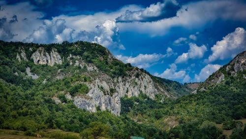 Transilvania Undiscovered - The Hobbit House