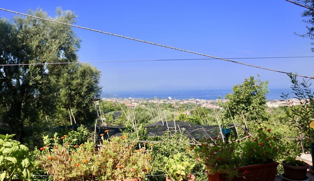 Traulivi villa with pool