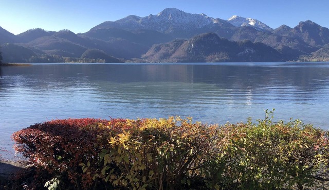 Traumwohnung mit Blick auf Herzogstand. Outdoor-paradies und Oase der Erholung!