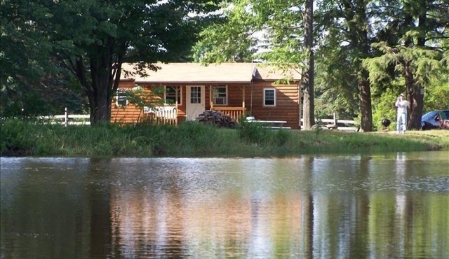 Treaster's Cabin *Paddleboat/Great Fishing* (No fishing license required.)