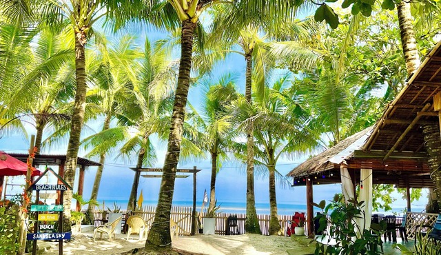 Treasure Beach Co.