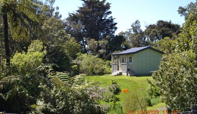 Tree Fuchsia Cabin