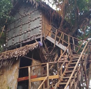 Tree Home Adventure