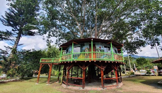 Tree House Finca La Floresta Verde