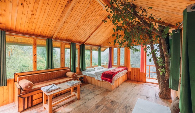 Tree House
