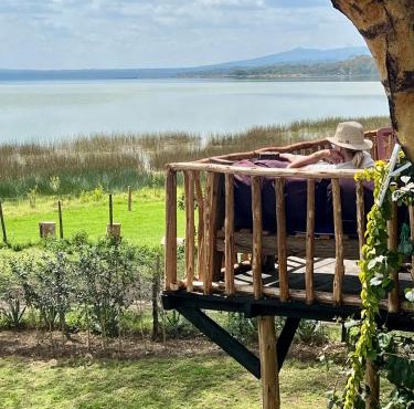 TREE HOUSE Lodge