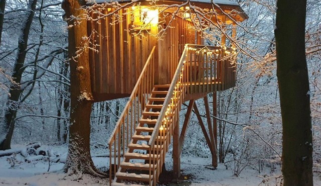 Tree house round house, living/sleeping area - Baumhaushotel Solling