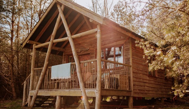 Tree Lodge On The Yorkshire Dales