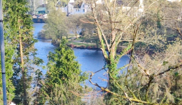 Tree oasis. Large terrace overlooking lake and forest. 3 bedrooms
