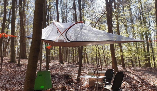 Tree tent beech - Baumhaushotel Solling