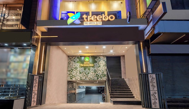 Treebo Green Olive