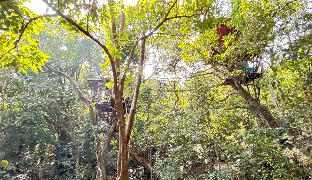 Treedom Treehouse Eco-Restoration getaway in the Jungles of South India