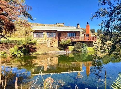 Treeferns Trout Lodge