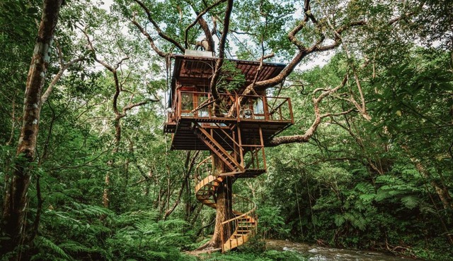 Treeful Treehouse Sustainable Resort Okinawa