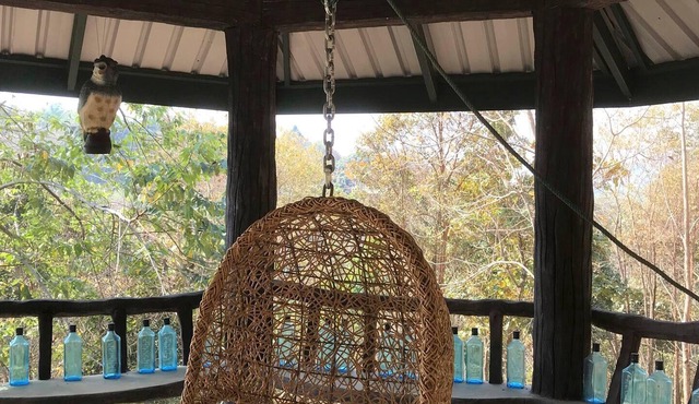 Treehouse and swimming pool