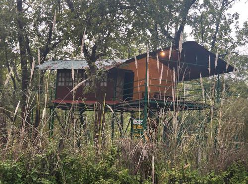 Treehouse at Kamp