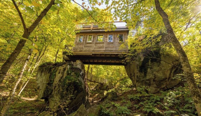 Treehouse between rocks, suspension bridge, rooftop | Lodging #06