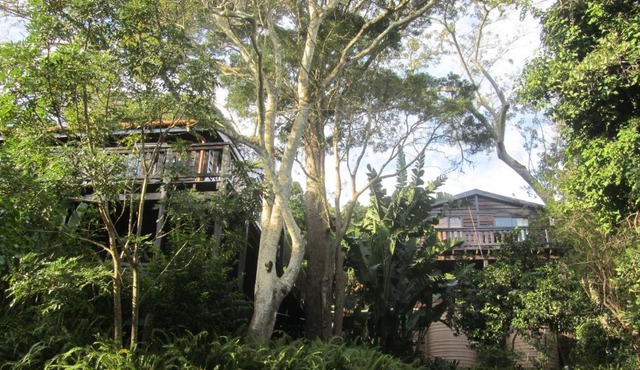 Treehouse Cottage