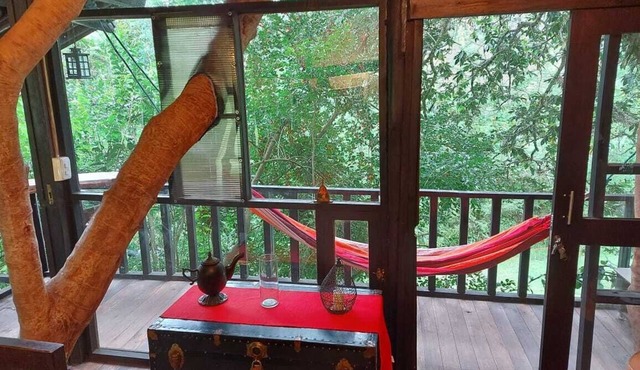 Treehouse