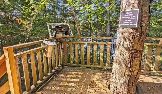 Treehouse, forest and lake, near reception | Lodging #10