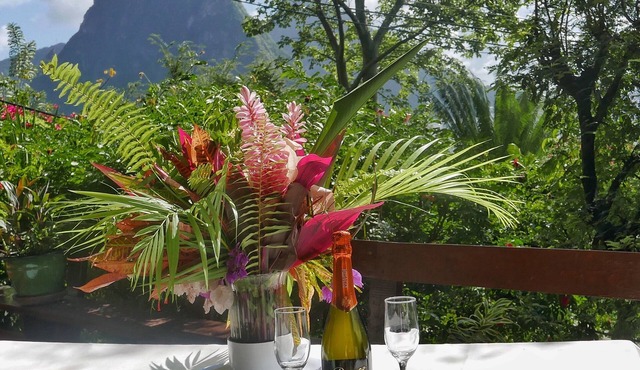 Treehouse Hideaway Villa I-A Nature Packed Soufriere Experience