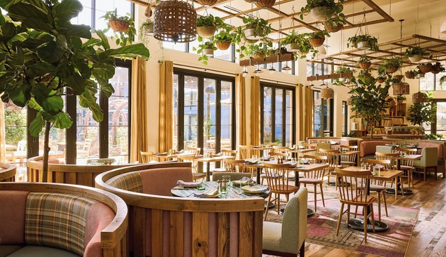 Treehouse Hotel Silicon Valley