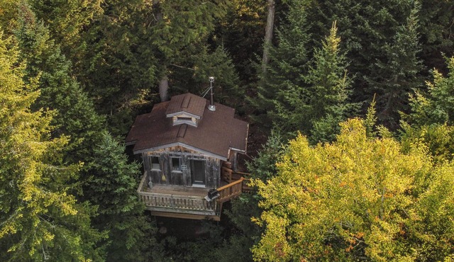 Treehouse, large windows and skylights | Lodging #04