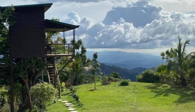 Treehouse on a Coffee Farm with Ocean View