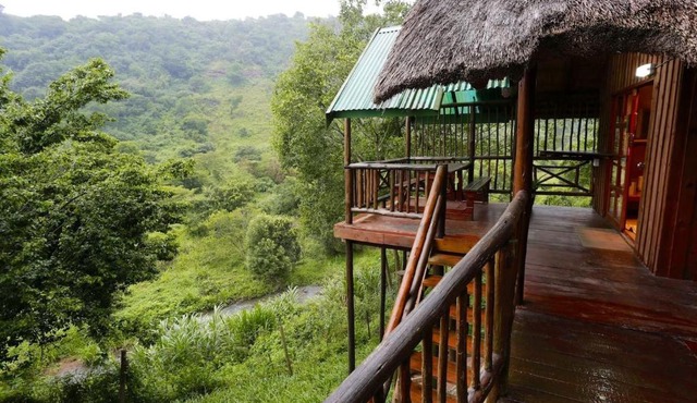 Treehouse River Lodge