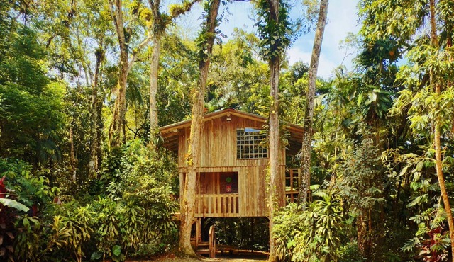 Treehouse: Unique Accommodation with Pool, Bathtub, and Restaurant