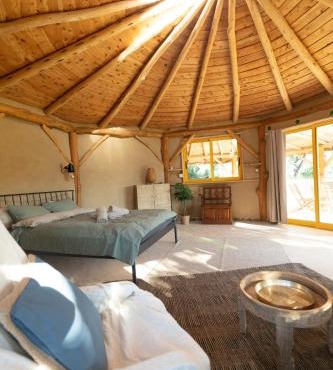 Treenity Hut