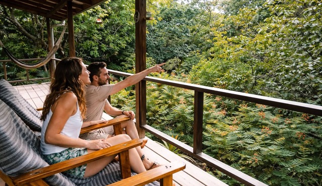 Treetop Cottage Escape in Tropical Garden Near San Ignacio