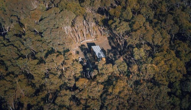 Treetops 2 by Tiny Away