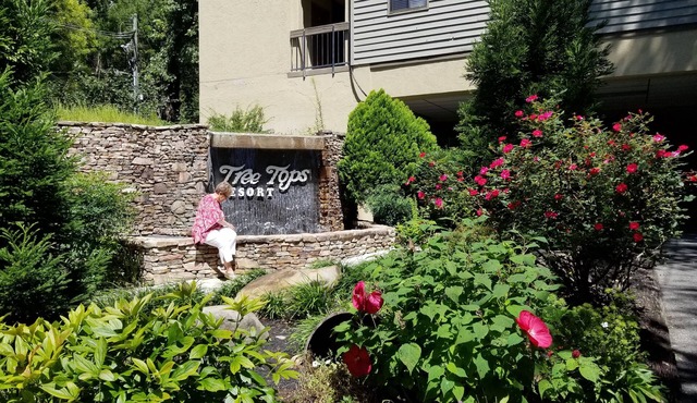 Treetops Resort on Roaring Fork Stream Gatlinburg 2Bd2Ba Condo SATURDAY Check In