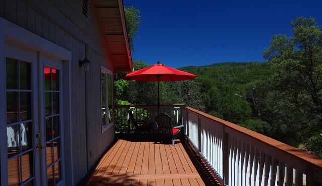 Treeview Villa - Good Dogs Welcome!
