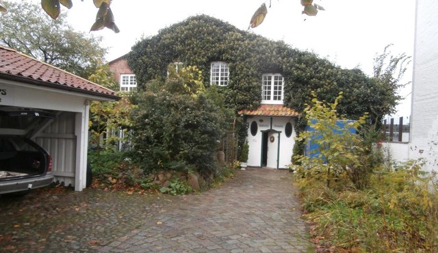 Treibweg 41