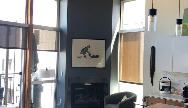 Trendy Capitol Hill, gorgeous modern loft. Private host.