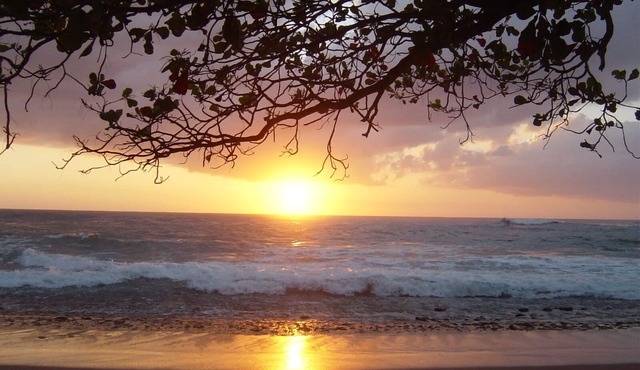 Tres Palmas Steps Beach-3 BRs ($250) or 6 BRs ($500) spectacular rooftop deck-AC