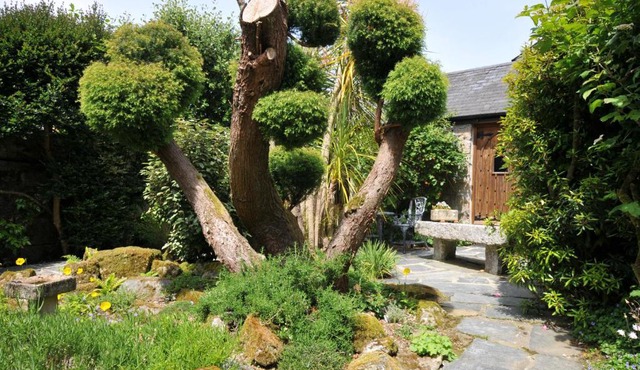 Trevenning Chapel