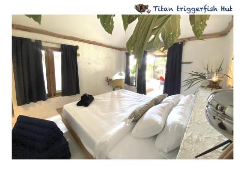 Triggerfish Hut at Casa Domingo