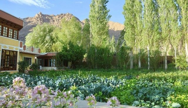 Trinity Home Stay
