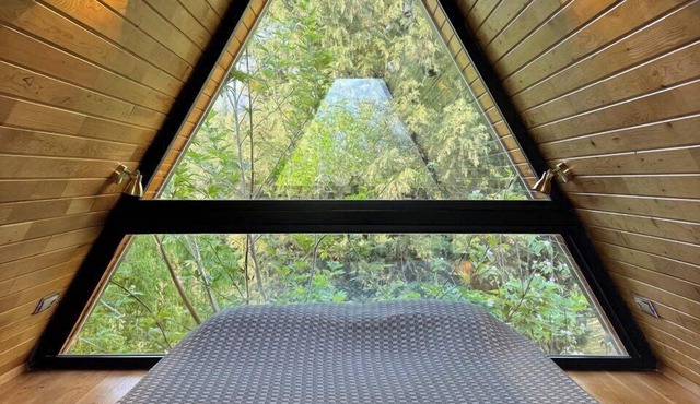 Trinitys Forest Bungalows