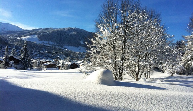Triplex apartment in chalet, spectacular view of Megève and the Alps