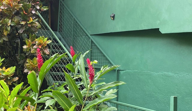 TROGON BUNGA
