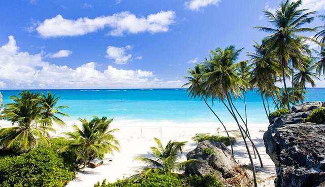 Tropical Apartment with private patio. Walk to Beaches, Shops & Cafes