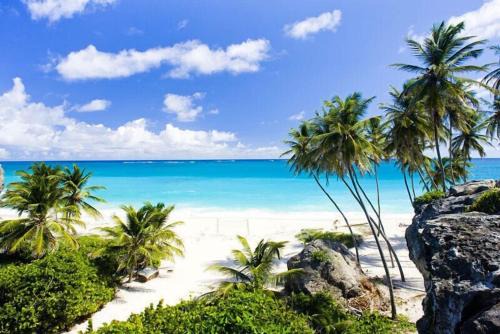 Tropical Apartment with private patio, Walk to Beaches, Shops and Cafes