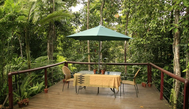 Tropical Bliss BNB